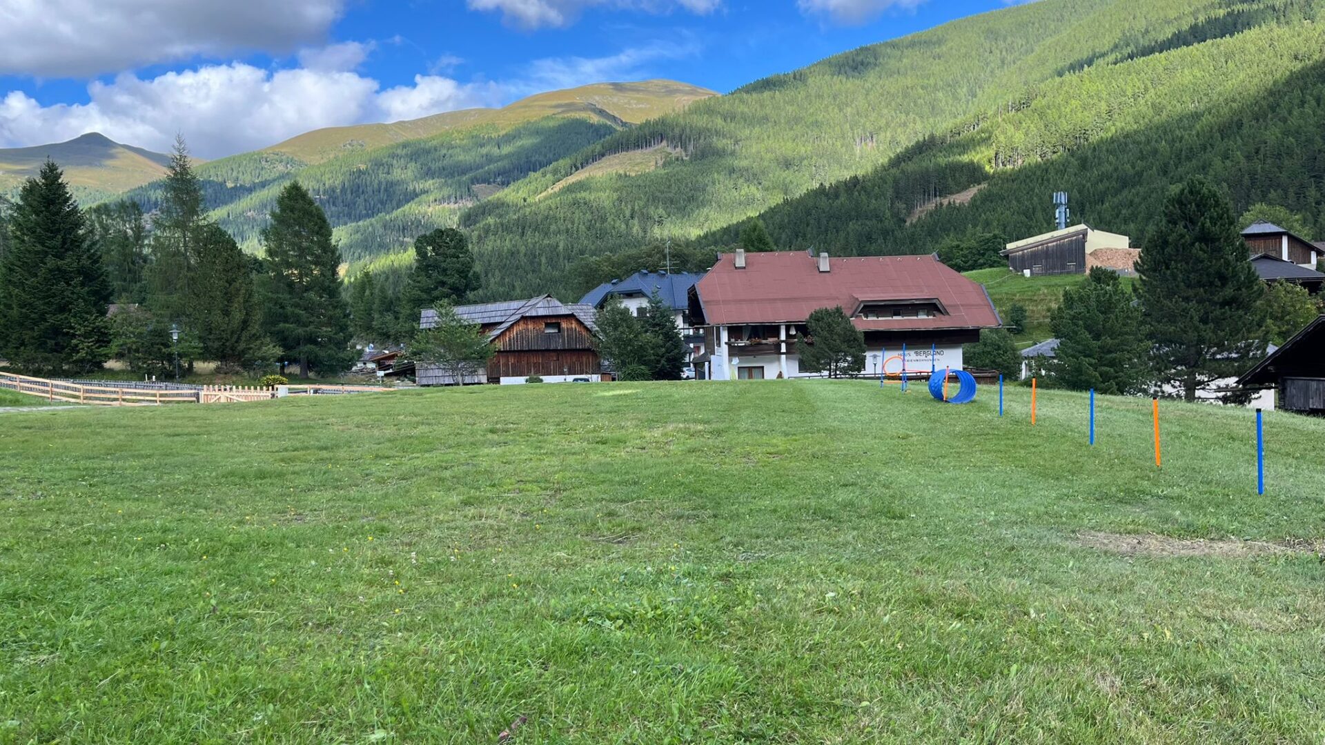 Urlaub mit dem Hund